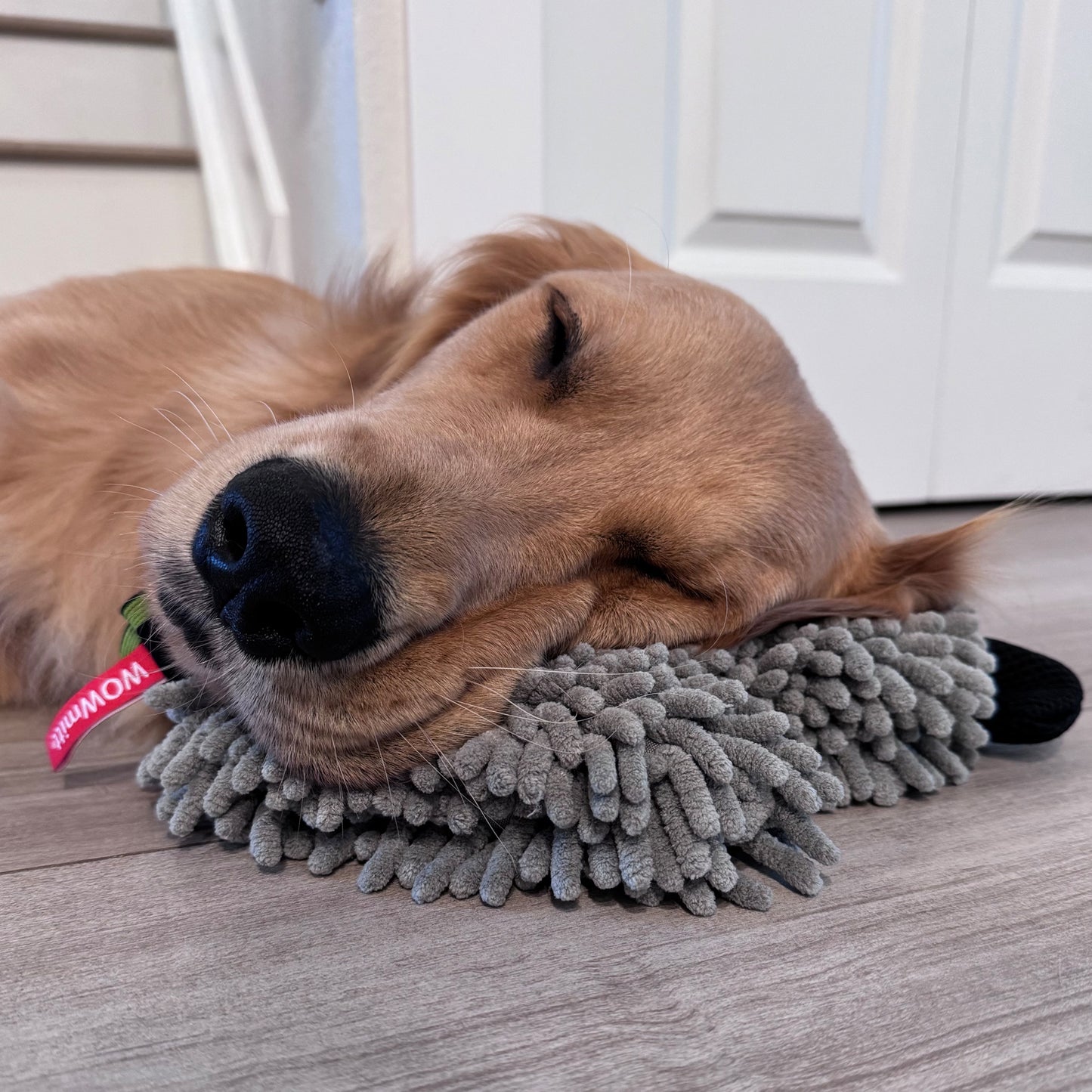 WOWmitt® Wash Mitt - The First & Only Multi-Patented Wash Mitt With A Secret Weapon - The Scrubfinger! ONLY $7.98 Each For 2+ Or $9.97 for One!